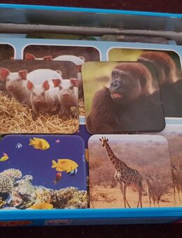 Zoo Lotto - Düsseldorf