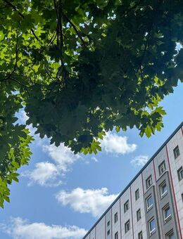 Zwischen Volkspark & Spree: 3-Zimmer-Wohnung mit Balkon und - Berlin