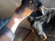 Hazel sucht Herzensort - Schwalmtal (Nordrhein-Westfalen)