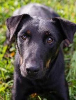 LOUIS - was kommt nach dem Toben? - Overath