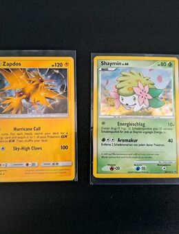 Pokemon: Zapdos & Shaymin - Bremen