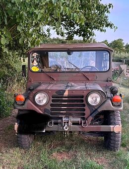 Ford Mutt A2 M151 - Offenheim