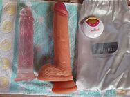 Dildos meiner Freundin - Worms Zentrum