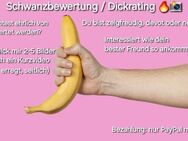 Schwanzbewertung/ Dick-rating - Landsberg (Lech)