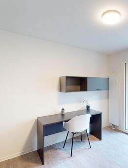 Klein aber fein: möbliertes 1-Zimmer-Apartment - Nürnberg