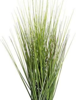 Kunstgras Gras Festuca Gras, Botanic-Haus, Höhe 60 cm