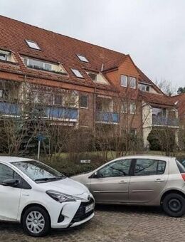 NEUER PREIS! Sofortbezug nach Komplettrenovierung 74 m² in Grünheide - Grünheide (Mark)