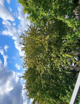 Helle 3-Raumwohnung mit Tageslichtbad und Balkon - Magdeburg