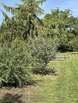 Grüne Oase mit Charakter - ruhig gelegen und stilvoll modernisiert - Steinmauern