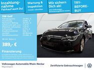 VW Golf, 1.5 VIII eTSI Active Gar 2027, Jahr 2022 - Mannheim