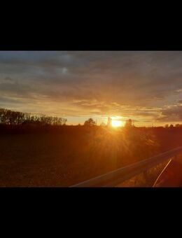 Wer geht mit mir spazieren.. - Lemgow