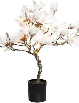 Kunstpflanze Magnolie, Creativ deco, Höhe 58 cm, beschneit, mit 20 LEDs