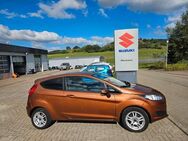 Ford Fiesta Trend - Seitingen-Oberflacht