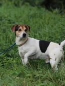 ENZO - gemeinsam alles Wichtige erlernen in 51491