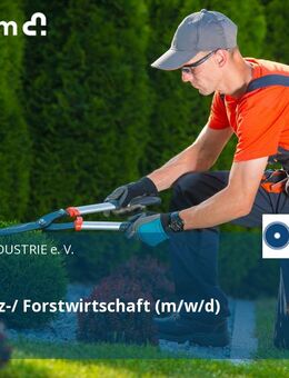 Leiter Holz-/ Forstwirtschaft (m/w/d) - Berlin