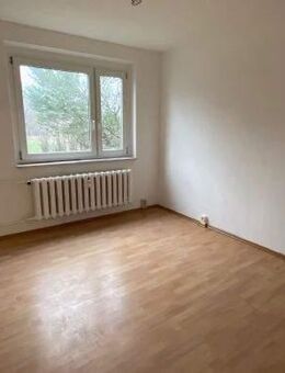 *Frisch Renovierte Wohnung* 4 Zimmer im EG in Kindelbrück - Kindelbrück