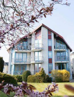 Renovierte 2 Zimmer Wohnung mit Sauna - Dahme