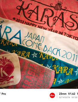 KARA 카라 / カラ * Karasia * Kamilia * K-POP Japan Fanpaket selten - Braunschweig