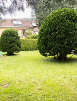Liebevoll gepflegtes Familienhaus mit Wintergarten, Kamin und großem Garten in idyllischer Lage - Neckargemünd