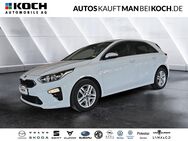 Kia cee'd, , Jahr 2021 - Schorfheide