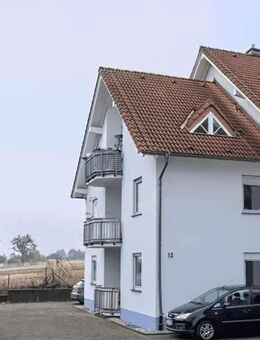 Feldrandlage von Wackernheim - Große Souterrain-Wohnung - Wackernheim