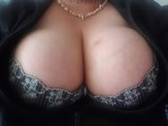 LeylaLeyla ☆Haus☆Hotel☆ Büro☆und Auto☆Besuche☆ - Köln