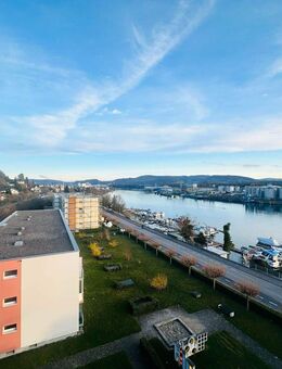 4-Zi.-Wohnung - direkt an der Schweizer Grenze, mit Blick auf den Rhein! - Grenzach-Wyhlen