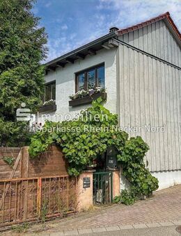 Familienfreundliches Zuhause mit Kaminofen, Dachterrasse und Hobbyraum - Birkenau