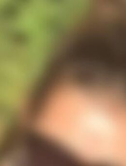 Ker*** - Wiesbaden Kostheim