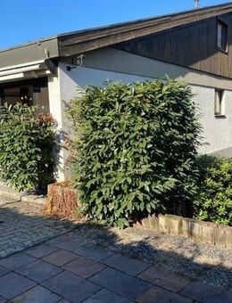 ++NEU IM ANGEBOT++ 1-Zi.-Wohnung in bester Lage und mit großem Gartenanteil in Lörrach (Hünerberg) - Lörrach