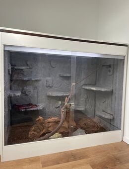 Terrarium abzugeben - Baesweiler