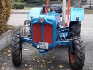 Fordson Dexta - Warburg (Hansestadt)