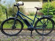 e-Bike Pedelec, Winora Tria 8 von 2018, nur 1300 km Laufleistung - Pinneberg