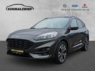 Ford Kuga, 2.5 ST-Line X El Panodach digitales, Jahr 2020 - Bremerhaven