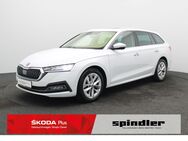 Skoda Octavia, 2.0 TDI Combi First Edition, Jahr 2020 - Würzburg