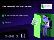 Frontendentwickler UI/UX (m/w/d) - Münster