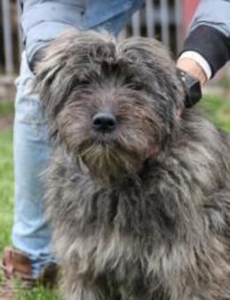 Talsim - gutgelaunt u. zutraulich - Lohra