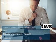 Bilanzierungsmanager (m/w/d) - Ravensburg