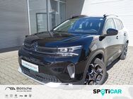 Citroën C5, 1.2 Aircross Shine °, Jahr 2023 - Brandenburg (Havel)