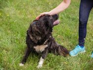 FRIEDA - entspannte Runden drehen - Overath