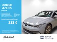 VW Golf, 1.5 TSI VIII ückfahrkamera, Jahr 2023 - Bad Homburg (Höhe)