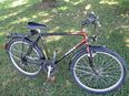 Schweizer Jugend Herren Velo Tigra 26Zoll 21Gang in 8604