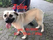 Jolie Lebensfreude pur - Rinteln