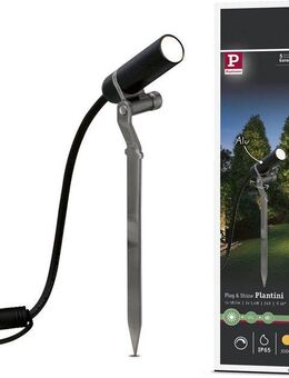 Paulmann LED Gartenstrahler Plug & Shine, Plug & Shine, LED fest integriert, Warmweiß, LED-Modul, 3000K 24V Anthrazit