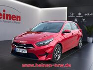 Kia cee'd, 1.5 ceed PLATINUM, Jahr 2024 - Menden (Sauerland)