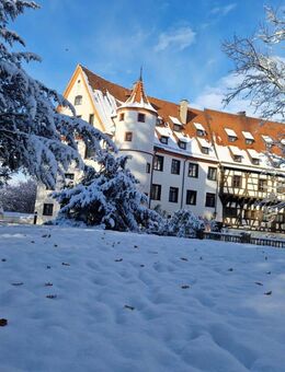 Wohnen im Schloss Neufra auf 95m² 2 Zimmer möbliert - Riedlingen