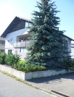 Glücksgriff 3,5-Zimmer -Dachgeschosswohnung - Königsbach-Stein