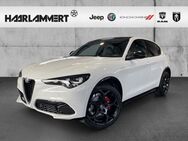 Alfa Romeo Stelvio, 2.0 Veloce Q4, Jahr 2024 - Hasbergen