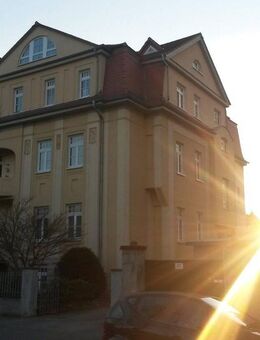 ruhige helle Zweiraumwohnung mit Einbauküche - Naumburg (Saale)