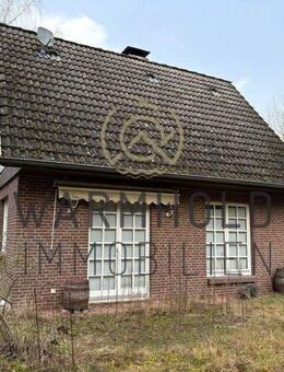 Großzügiges Naturdomizil mit Wohnhaus - uneinsehbares Grundstück in St. Dionys, perfekt für Golfliebhaber - Barum (Landkreis Lüneburg)